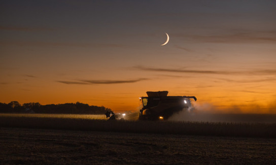 Lindsey Nelson Linden Township